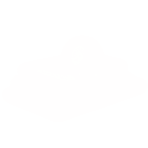 flame_comp_logo_002.1001